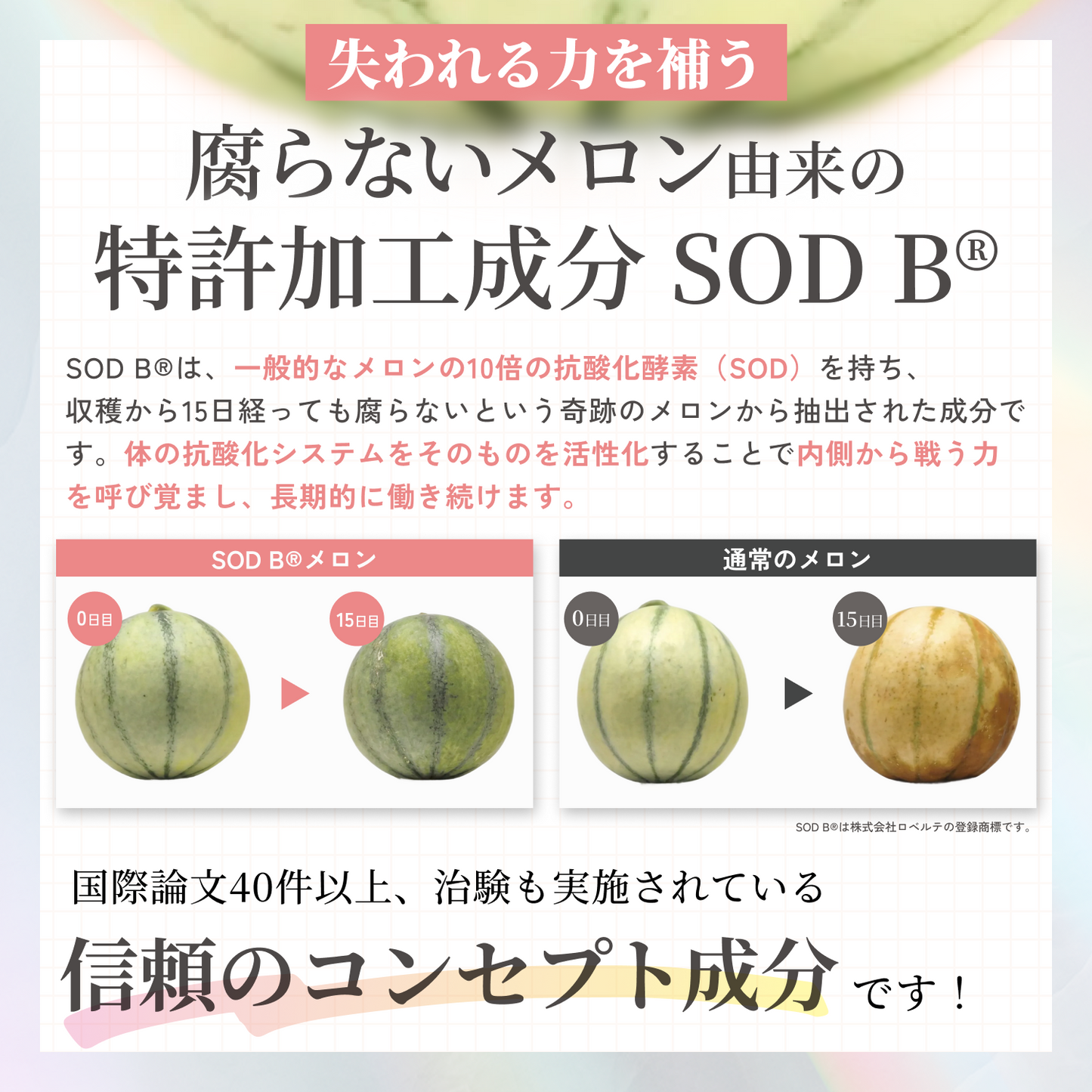 SOD Beauty Shot Premium